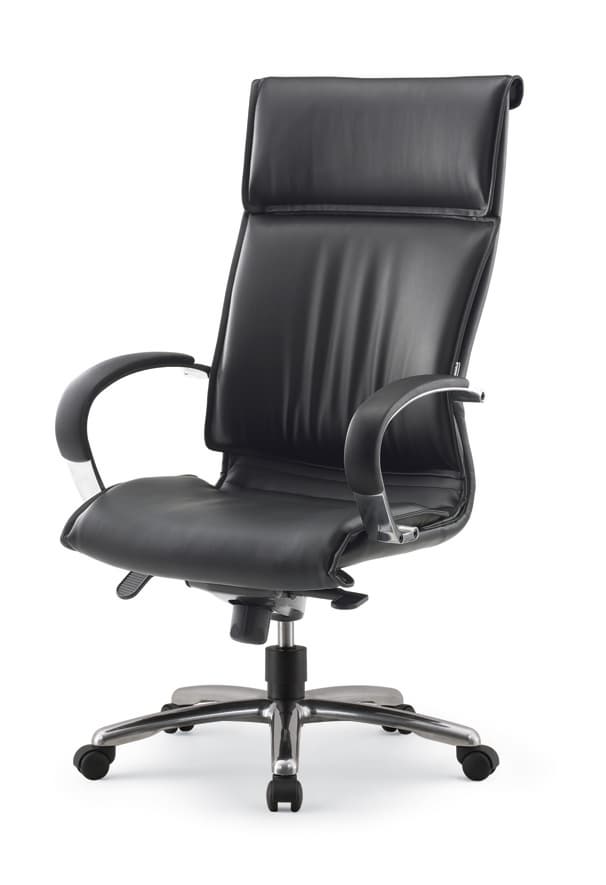 SPECIAL Executive Chair _High Back_